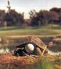 OK, fess up.  Who was at the links today?-230.jpg