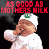 How many faces can you find?-222_as_good_as_mothers_milk_baby_smoking_marijuana.gif