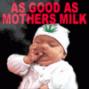 off topic&#33;-222_as_good_as_mothers_milk_baby_smoking_marijuana.gif