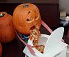 2 pumpkins 1 cup-pumpkin_vomit.jpg