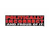 Bumper Sticker-politicallyincorrect.jpg