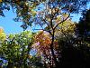 Pictures - Beautiful Fall day in New England-img_0700.jpg