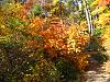 Pictures - Beautiful Fall day in New England-img_0773.jpg