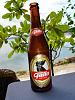 What beer do you drink?-guaterica_04_05_1102914000_gallobottlexsized.jpg