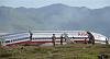 Start Smoking the weed AFTER you land the plane.-american_airlines_flight_331_jamaica8.jpg