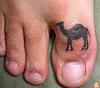 Let&#39;s post pictures of camel toes.......-cameltoe.jpg