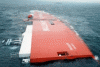 Tricolor Salvage Pictures-disaster2003.tricolor.2.gif