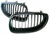 WTB: Black Kidney Grills-grill_black_e60_3.jpg