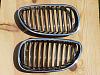545 OEM Grilles, $40 plus my shipping expense-bmw_parts_003.jpg
