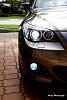 Elite motorsports HID KIT/bulb/LED Angel eyes&#33;-dsc_0263.jpg