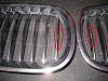 OEM Kidney Grilles F/S-img_1117.jpg