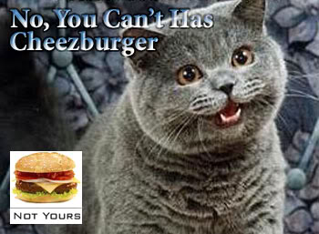 Name:  no-you-cant-has-cheezburger.jpg
Views: 734
Size:  26.0 KB